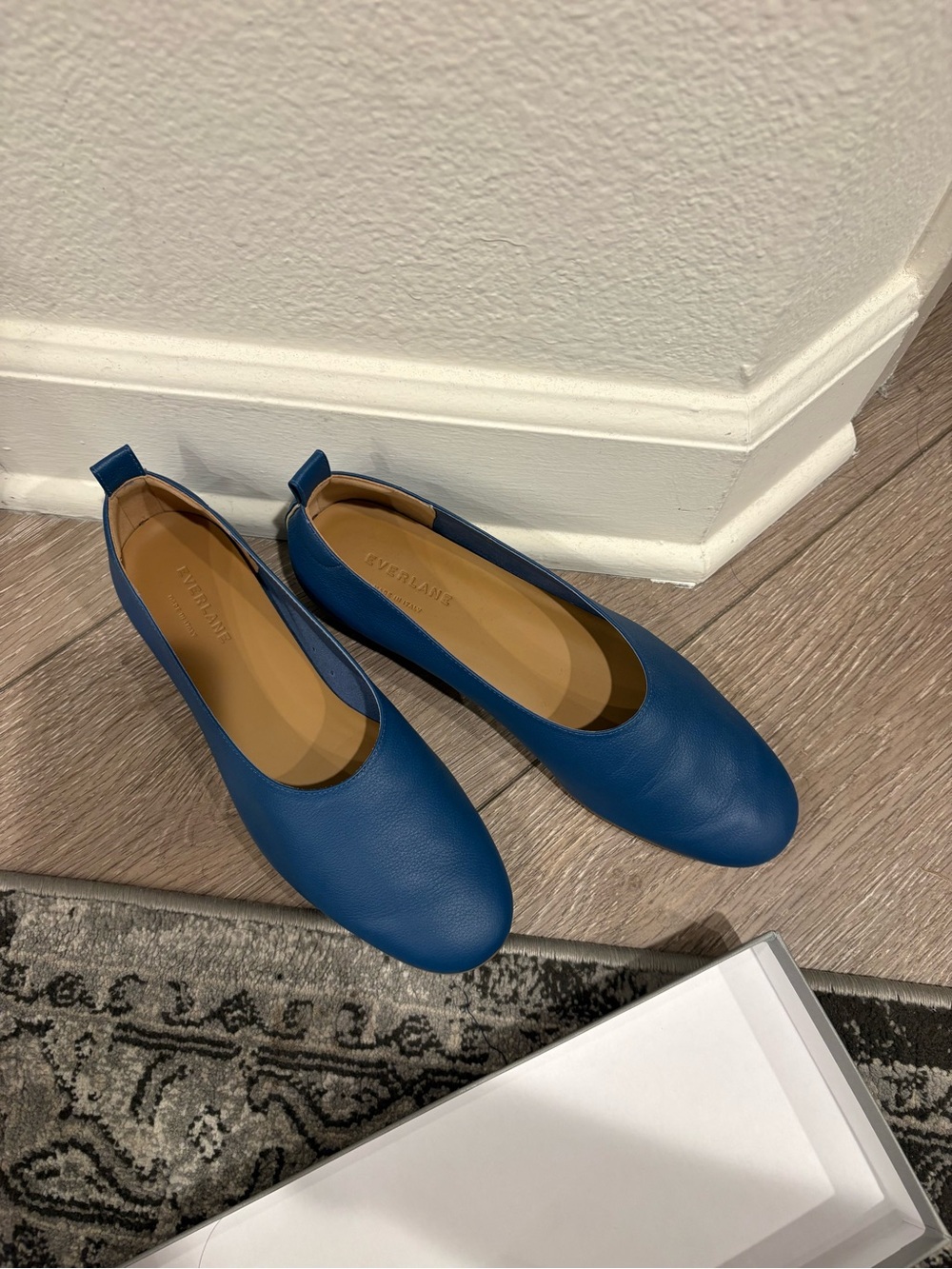 Everlane Cobalt Blue the Italian Leather Day Glove